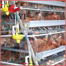 Chinese H type Chicken Coop Factory